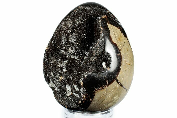 Septarian Dragon Egg Geode - Sparkly Black Crystals #308802